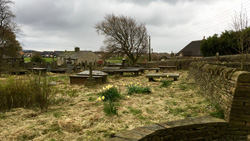 Graveyard after strimming
